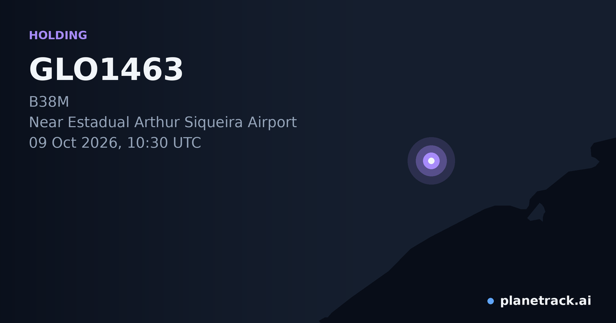 Map of where GLO1463's holding pattern happened