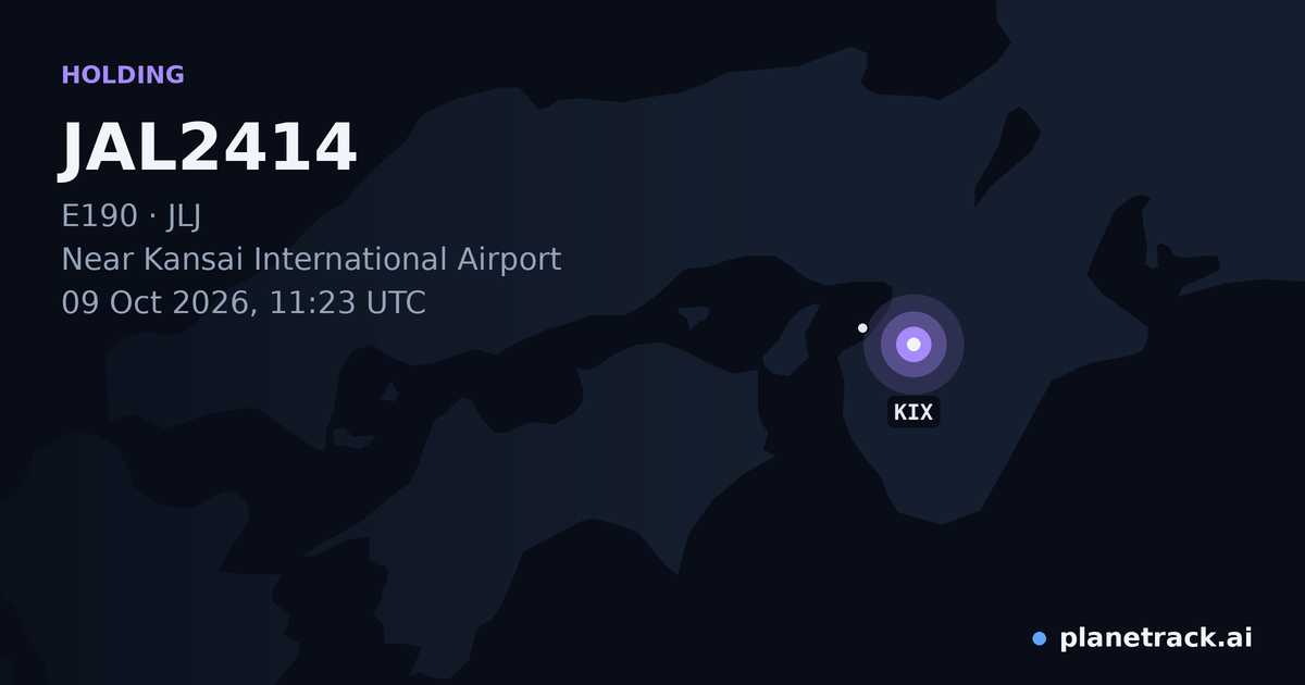 Map of where JAL2414's holding pattern happened
