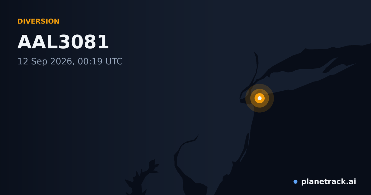 Map of where AAL3081's diversion happened