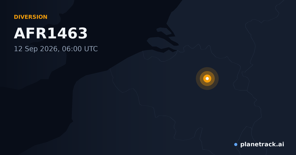 Map of where AFR1463's diversion happened