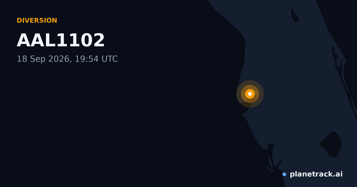 Map of where AAL1102's diversion happened